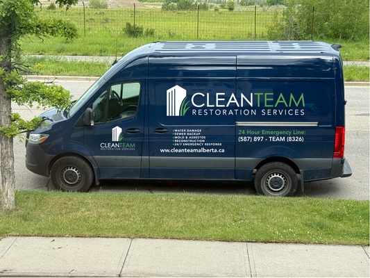 Full Color Printed Vehicle Graphics